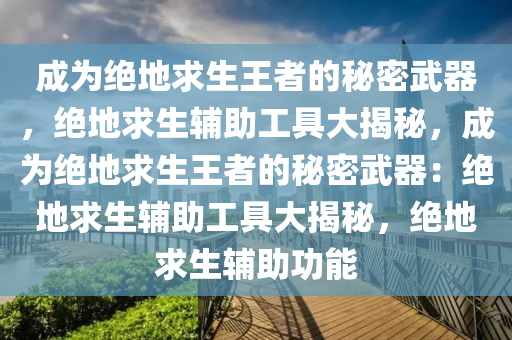 成为绝地求生王者的秘密武器，绝地求生辅助工具大揭秘，成为绝地求生王者的秘密武器：绝地求生辅助工具大揭秘，绝地求生辅助功能