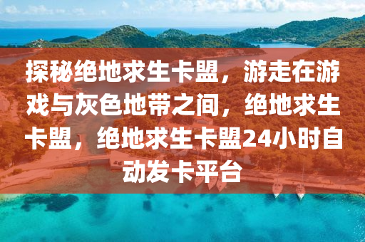 探秘绝地求生卡盟，游走在游戏与灰色地带之间，绝地求生卡盟，绝地求生卡盟24小时自动发卡平台