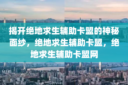 揭开绝地求生辅助卡盟的神秘面纱，绝地求生辅助卡盟，绝地求生辅助卡盟网