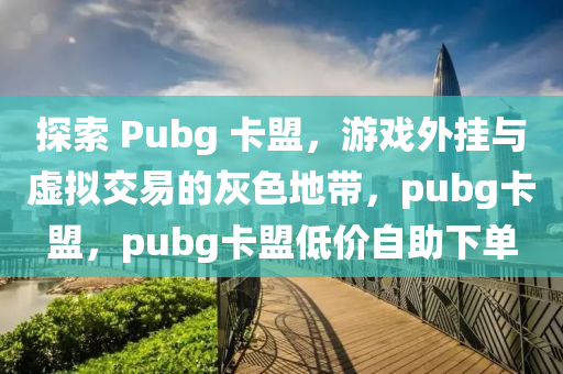 探索 Pubg 卡盟，游戏外挂与虚拟交易的灰色地带，pubg卡盟，pubg卡盟低价自助下单