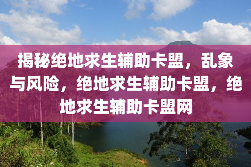 揭秘绝地求生辅助卡盟，乱象与风险，绝地求生辅助卡盟，绝地求生辅助卡盟网