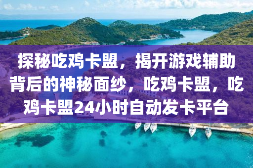 探秘吃鸡卡盟，揭开游戏辅助背后的神秘面纱，吃鸡卡盟，吃鸡卡盟24小时自动发卡平台