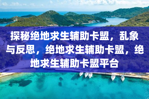 探秘绝地求生辅助卡盟，乱象与反思，绝地求生辅助卡盟，绝地求生辅助卡盟平台