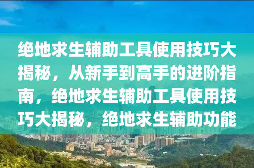 绝地求生辅助工具使用技巧大揭秘，从新手到高手的进阶指南，绝地求生辅助工具使用技巧大揭秘，绝地求生辅助功能