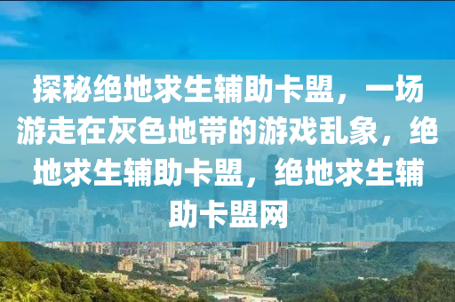 探秘绝地求生辅助卡盟，一场游走在灰色地带的游戏乱象，绝地求生辅助卡盟，绝地求生辅助卡盟网
