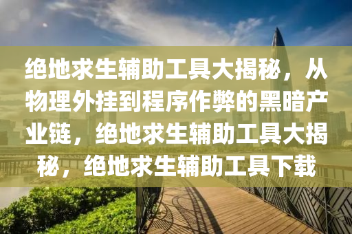 绝地求生辅助工具大揭秘，从物理外挂到程序作弊的黑暗产业链，绝地求生辅助工具大揭秘，绝地求生辅助工具下载