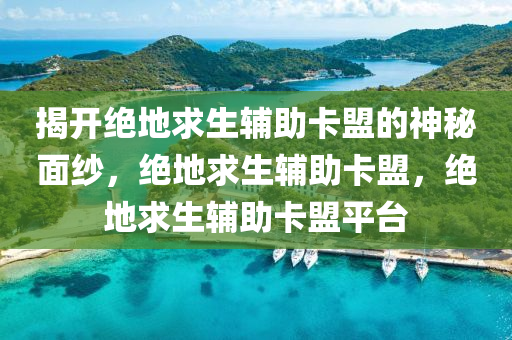 揭开绝地求生辅助卡盟的神秘面纱，绝地求生辅助卡盟，绝地求生辅助卡盟平台