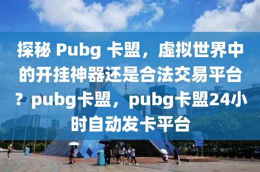 探秘 Pubg 卡盟，虚拟世界中的开挂神器还是合法交易平台？pubg卡盟，pubg卡盟24小时自动发卡平台