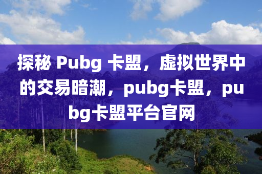 探秘 Pubg 卡盟，虚拟世界中的交易暗潮，pubg卡盟，pubg卡盟平台官网