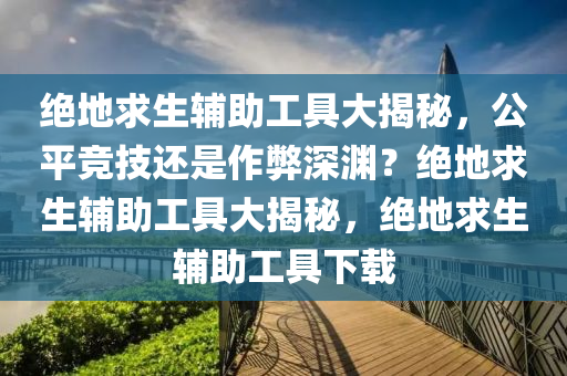 绝地求生辅助工具大揭秘，公平竞技还是作弊深渊？绝地求生辅助工具大揭秘，绝地求生辅助工具下载
