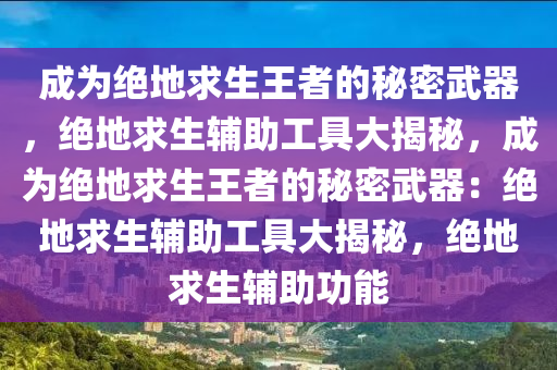 成为绝地求生王者的秘密武器，绝地求生辅助工具大揭秘，成为绝地求生王者的秘密武器：绝地求生辅助工具大揭秘，绝地求生辅助功能