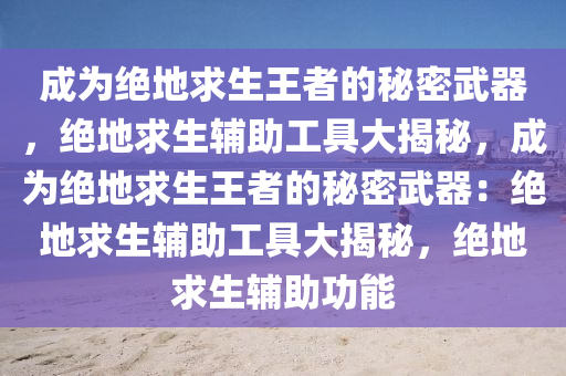 成为绝地求生王者的秘密武器，绝地求生辅助工具大揭秘，成为绝地求生王者的秘密武器：绝地求生辅助工具大揭秘，绝地求生辅助功能