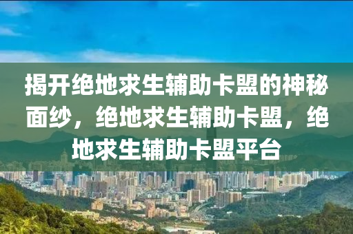 揭开绝地求生辅助卡盟的神秘面纱，绝地求生辅助卡盟，绝地求生辅助卡盟平台
