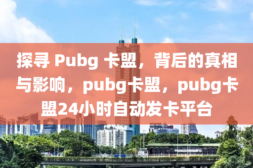 探寻 Pubg 卡盟，背后的真相与影响，pubg卡盟，pubg卡盟24小时自动发卡平台