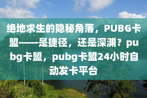 绝地求生的隐秘角落，PUBG卡盟——是捷径，还是深渊？pubg卡盟，pubg卡盟24小时自动发卡平台