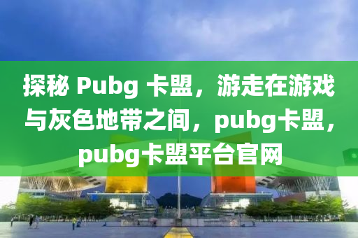 探秘 Pubg 卡盟，游走在游戏与灰色地带之间，pubg卡盟，pubg卡盟平台官网
