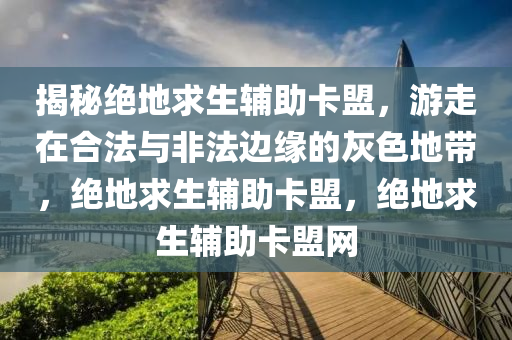 揭秘绝地求生辅助卡盟，游走在合法与非法边缘的灰色地带，绝地求生辅助卡盟，绝地求生辅助卡盟网