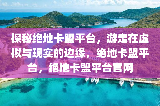 探秘绝地卡盟平台，游走在虚拟与现实的边缘，绝地卡盟平台，绝地卡盟平台官网