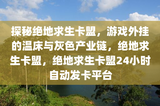 探秘绝地求生卡盟，游戏外挂的温床与灰色产业链，绝地求生卡盟，绝地求生卡盟24小时自动发卡平台