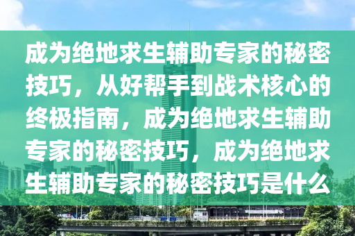 成为绝地求生辅助专家的秘密技巧，从好帮手到战术核心的终极指南，成为绝地求生辅助专家的秘密技巧，成为绝地求生辅助专家的秘密技巧是什么