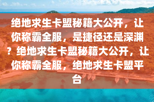 绝地求生卡盟秘籍大公开，让你称霸全服，是捷径还是深渊？绝地求生卡盟秘籍大公开，让你称霸全服，绝地求生卡盟平台