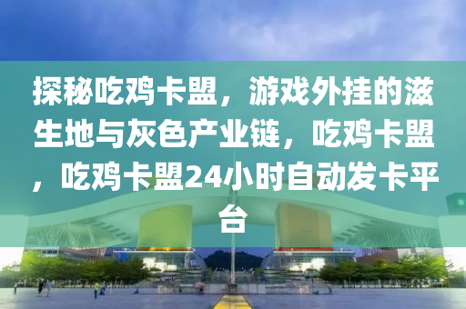 探秘吃鸡卡盟，游戏外挂的滋生地与灰色产业链，吃鸡卡盟，吃鸡卡盟24小时自动发卡平台