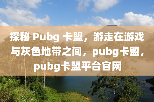 探秘 Pubg 卡盟，游走在游戏与灰色地带之间，pubg卡盟，pubg卡盟平台官网