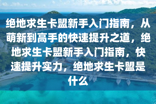绝地求生卡盟新手入门指南，从萌新到高手的快速提升之道，绝地求生卡盟新手入门指南，快速提升实力，绝地求生卡盟是什么