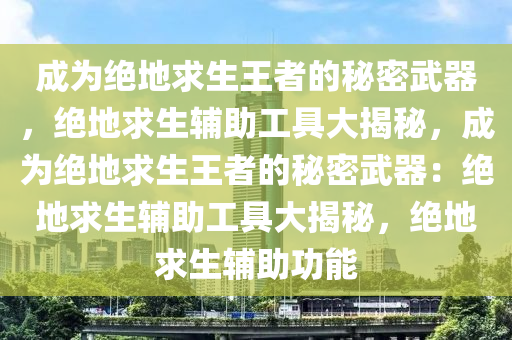 成为绝地求生王者的秘密武器，绝地求生辅助工具大揭秘，成为绝地求生王者的秘密武器：绝地求生辅助工具大揭秘，绝地求生辅助功能