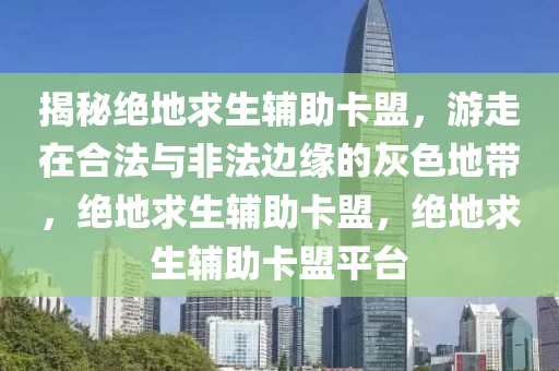 揭秘绝地求生辅助卡盟，游走在合法与非法边缘的灰色地带，绝地求生辅助卡盟，绝地求生辅助卡盟平台