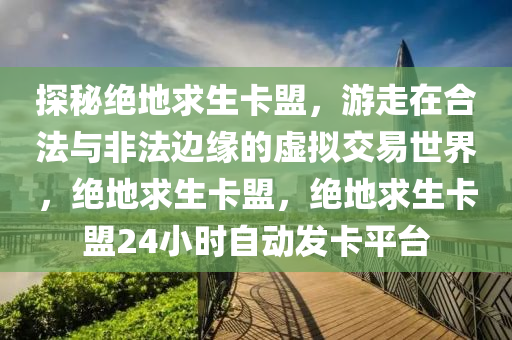 探秘绝地求生卡盟，游走在合法与非法边缘的虚拟交易世界，绝地求生卡盟，绝地求生卡盟24小时自动发卡平台