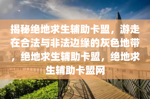揭秘绝地求生辅助卡盟，游走在合法与非法边缘的灰色地带，绝地求生辅助卡盟，绝地求生辅助卡盟网