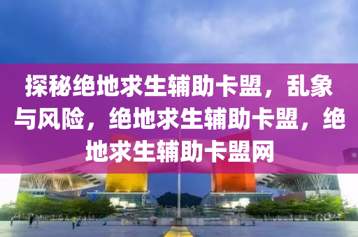 探秘绝地求生辅助卡盟，乱象与风险，绝地求生辅助卡盟，绝地求生辅助卡盟网