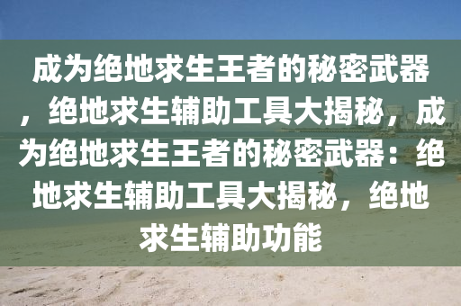 成为绝地求生王者的秘密武器，绝地求生辅助工具大揭秘，成为绝地求生王者的秘密武器：绝地求生辅助工具大揭秘，绝地求生辅助功能