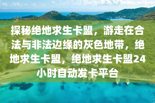 探秘绝地求生卡盟，游走在合法与非法边缘的灰色地带，绝地求生卡盟，绝地求生卡盟24小时自动发卡平台