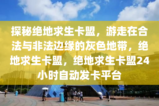 探秘绝地求生卡盟，游走在合法与非法边缘的灰色地带，绝地求生卡盟，绝地求生卡盟24小时自动发卡平台