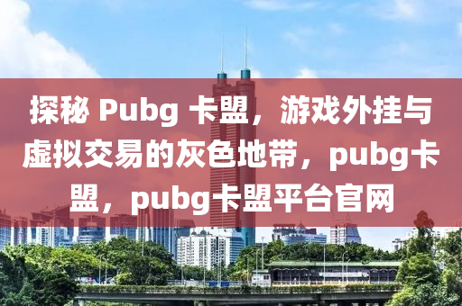 探秘 Pubg 卡盟，游戏外挂与虚拟交易的灰色地带，pubg卡盟，pubg卡盟平台官网