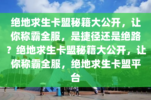 绝地求生卡盟秘籍大公开，让你称霸全服，是捷径还是绝路？绝地求生卡盟秘籍大公开，让你称霸全服，绝地求生卡盟平台