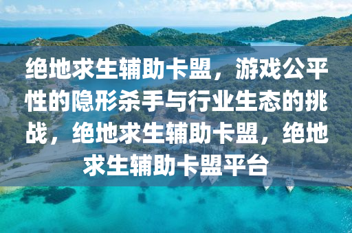 绝地求生辅助卡盟，游戏公平性的隐形杀手与行业生态的挑战，绝地求生辅助卡盟，绝地求生辅助卡盟平台