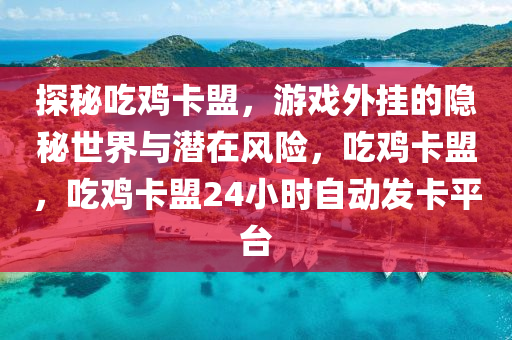探秘吃鸡卡盟，游戏外挂的隐秘世界与潜在风险，吃鸡卡盟，吃鸡卡盟24小时自动发卡平台