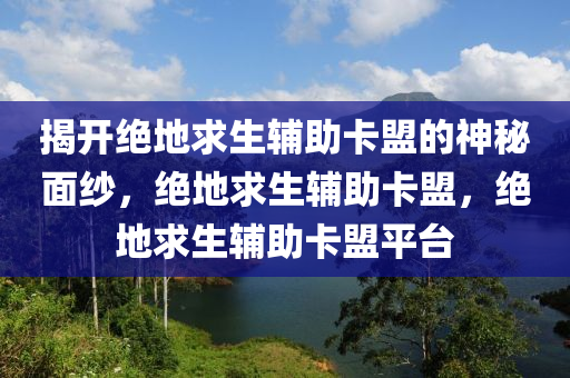 揭开绝地求生辅助卡盟的神秘面纱，绝地求生辅助卡盟，绝地求生辅助卡盟平台