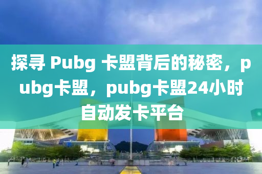 探寻 Pubg 卡盟背后的秘密，pubg卡盟，pubg卡盟24小时自动发卡平台