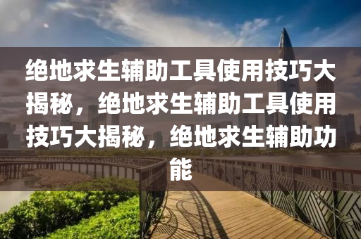 绝地求生辅助工具使用技巧大揭秘，绝地求生辅助工具使用技巧大揭秘，绝地求生辅助功能