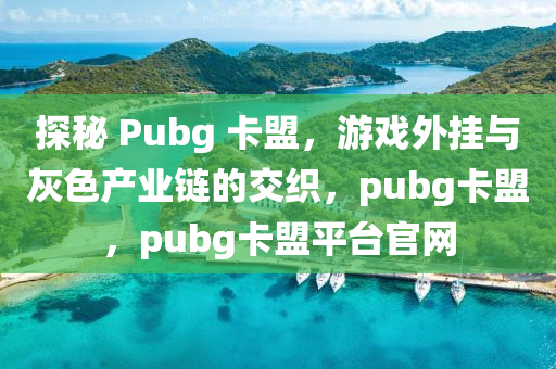 探秘 Pubg 卡盟，游戏外挂与灰色产业链的交织，pubg卡盟，pubg卡盟平台官网