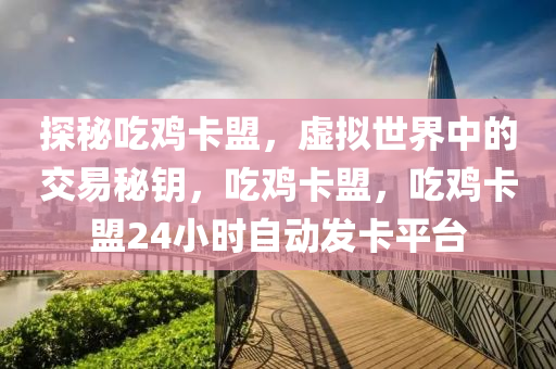 探秘吃鸡卡盟，虚拟世界中的交易秘钥，吃鸡卡盟，吃鸡卡盟24小时自动发卡平台