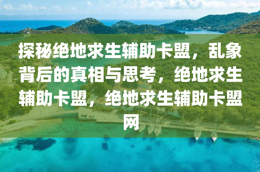 探秘绝地求生辅助卡盟，乱象背后的真相与思考，绝地求生辅助卡盟，绝地求生辅助卡盟网