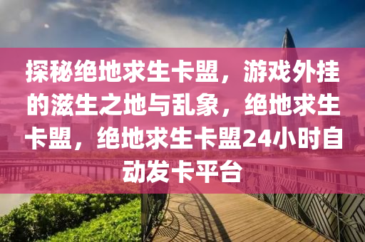 探秘绝地求生卡盟，游戏外挂的滋生之地与乱象，绝地求生卡盟，绝地求生卡盟24小时自动发卡平台