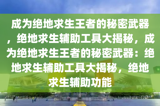 成为绝地求生王者的秘密武器，绝地求生辅助工具大揭秘，成为绝地求生王者的秘密武器：绝地求生辅助工具大揭秘，绝地求生辅助功能