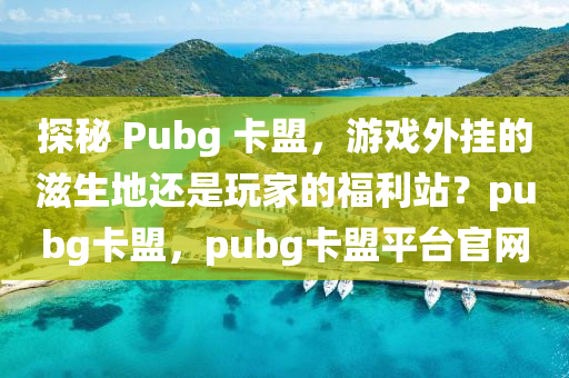 探秘 Pubg 卡盟，游戏外挂的滋生地还是玩家的福利站？pubg卡盟，pubg卡盟平台官网