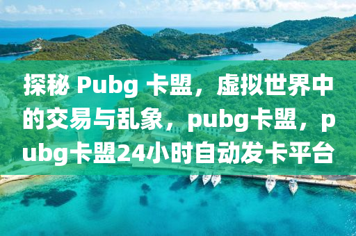 探秘 Pubg 卡盟，虚拟世界中的交易与乱象，pubg卡盟，pubg卡盟24小时自动发卡平台
